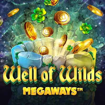 wellofwildsmegaways